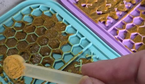 Green Lipped Joint Support photo review