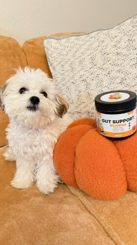 Pumpkin Gut Support photo review