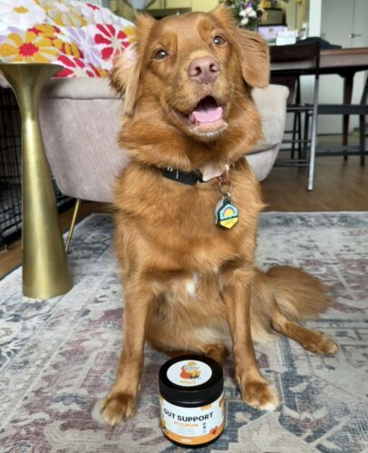 Pumpkin Gut Support photo review