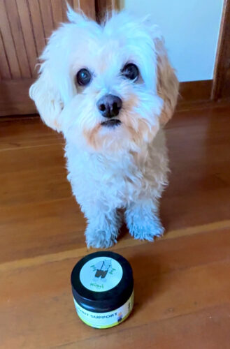 Green Lipped Joint Support photo review