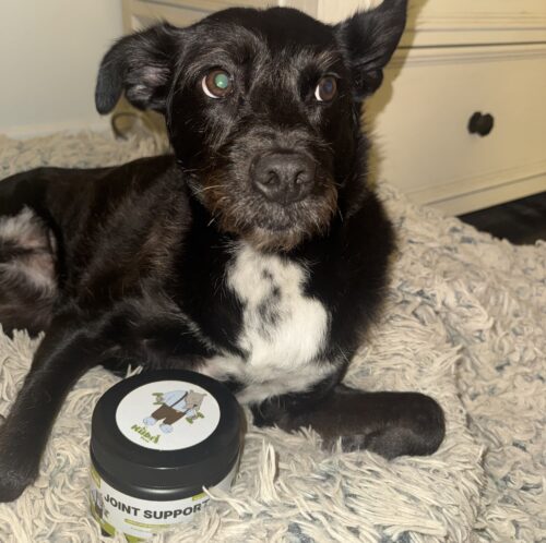 Green Lipped Joint Support photo review