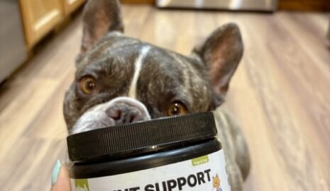 Green Lipped Joint Support photo review