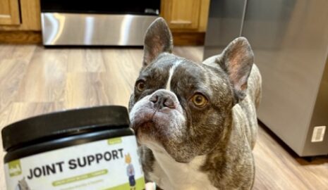 Green Lipped Joint Support photo review