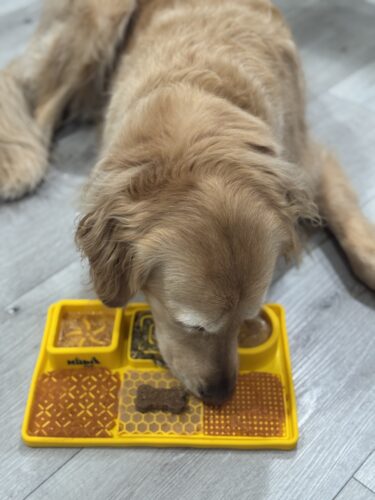 Snack Board photo review