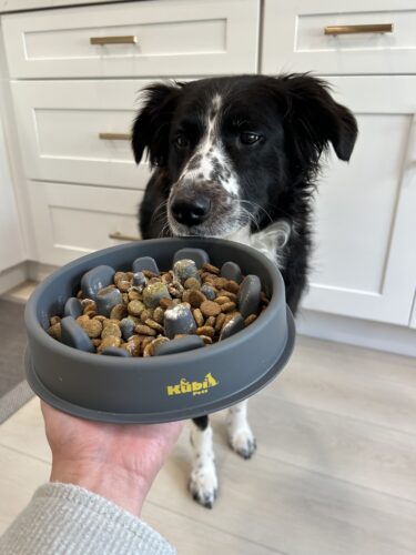 Slow mo Bowl photo review