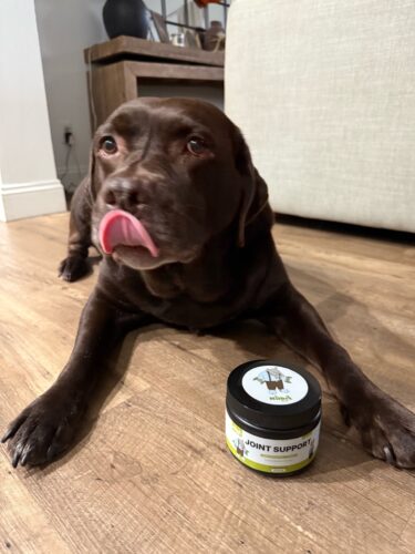 Green Lipped Joint Support photo review