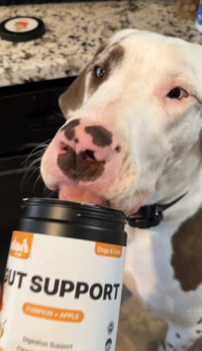 Pumpkin Gut Support photo review