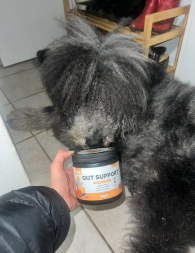 Pumpkin Gut Support photo review