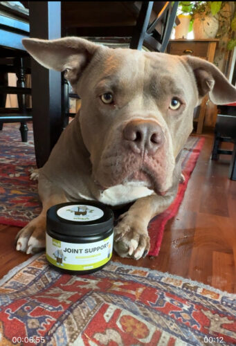 Green Lipped Joint Support photo review