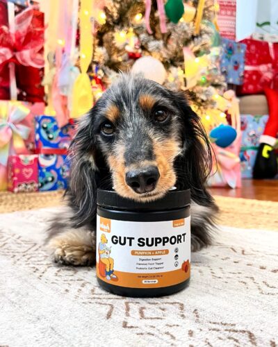 Pumpkin Gut Support photo review