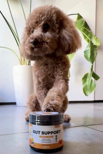 Pumpkin Gut Support photo review