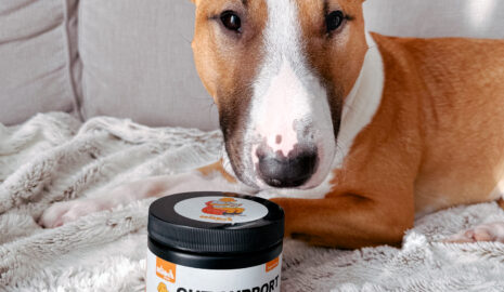 Pumpkin Gut Support photo review