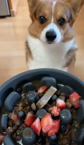 Slow mo Bowl photo review