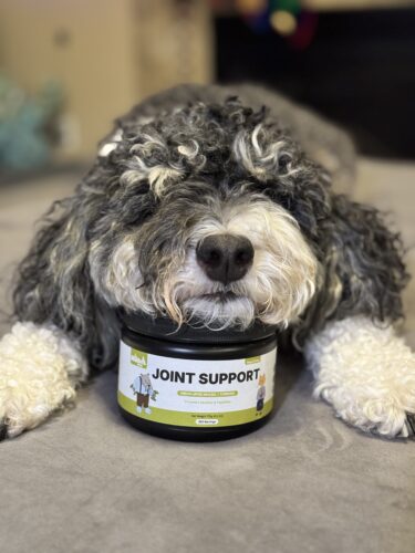 Green Lipped Joint Support photo review