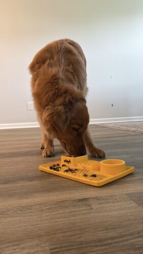 Snack Board photo review