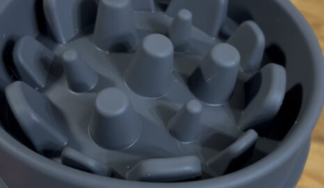 Slow mo Bowl photo review