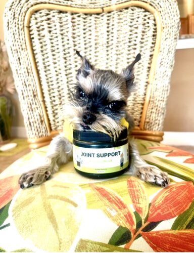 Green Lipped Joint Support photo review