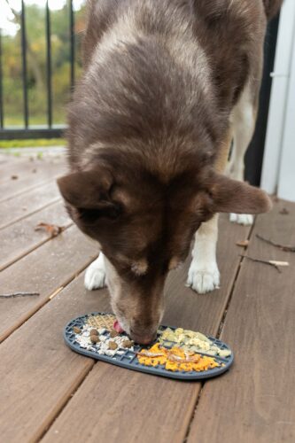 Ovalicious photo review