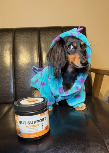 Pumpkin Gut Support photo review