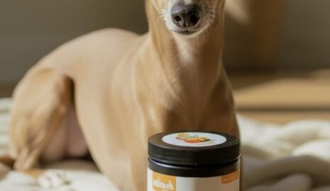 Pumpkin Gut Support photo review