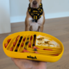 Snack Dish