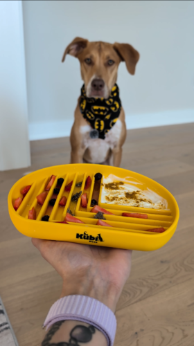Snack Dish photo review