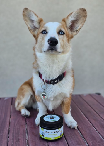 Green Lipped Joint Support photo review