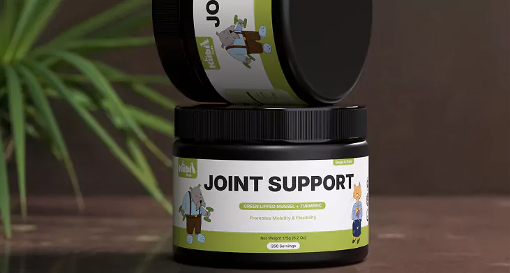 joint-support