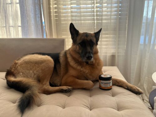 Pumpkin Gut Support photo review