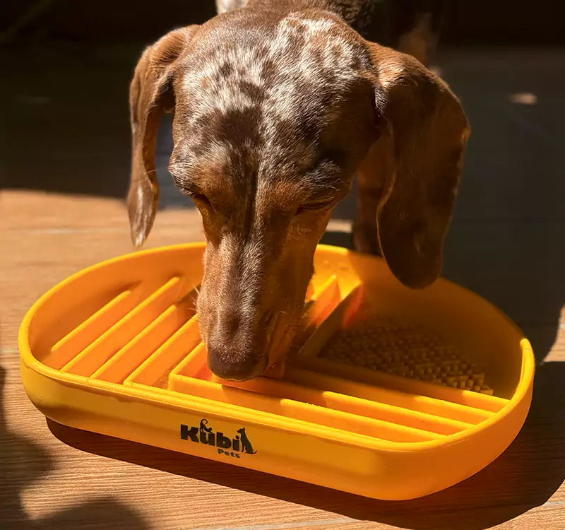 Snack Dish - Image 3