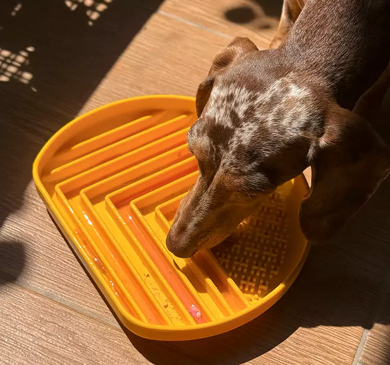 Snack Dish - Image 4