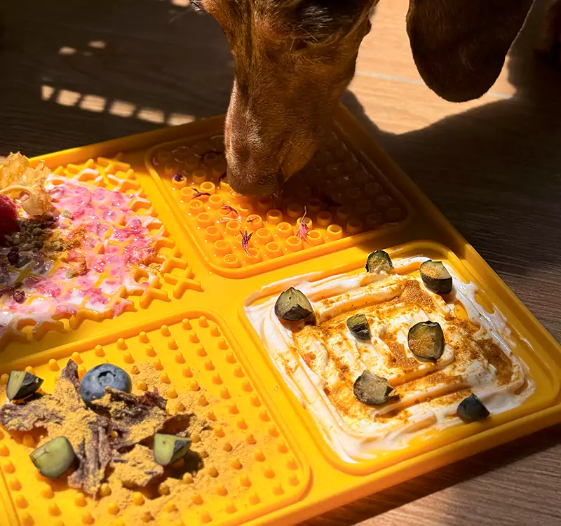 Treat Tile - Image 3