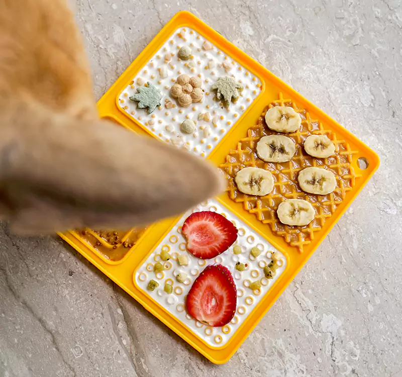 Treat Tile - Image 4