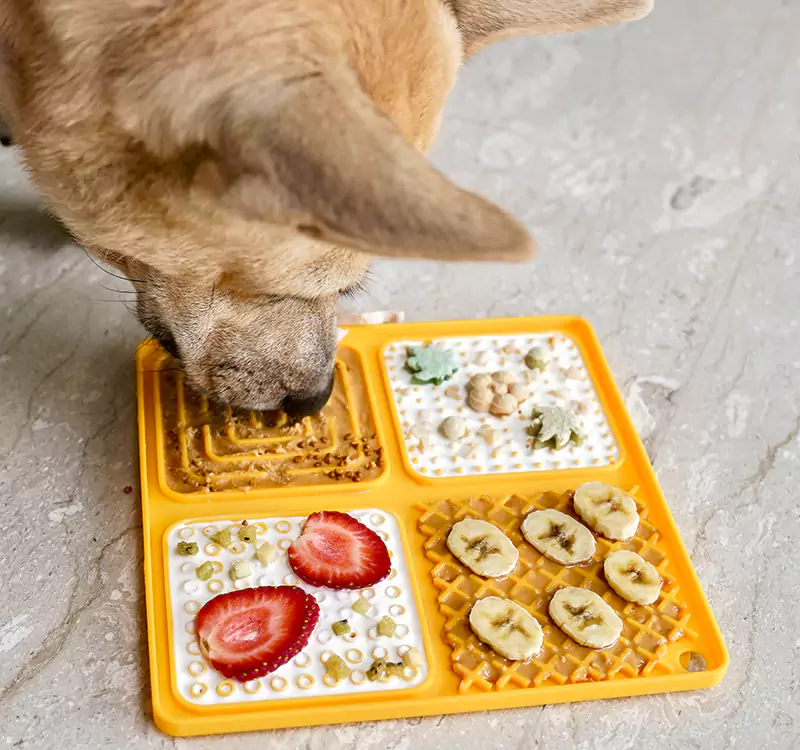 Treat Tile - Image 5